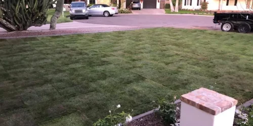 Sod Installation, Sod Installer, New Sod, Sod Company, Sod Contractor