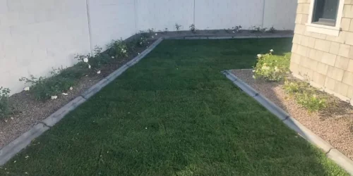 Sod Installation, Sod Installer, New Sod, Sod Company, Sod Contractor