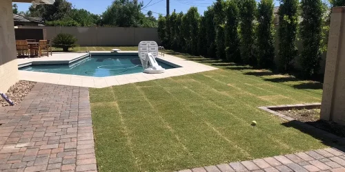 Sod Installation, Sod Installer, New Sod, Sod Company, Sod Contractor